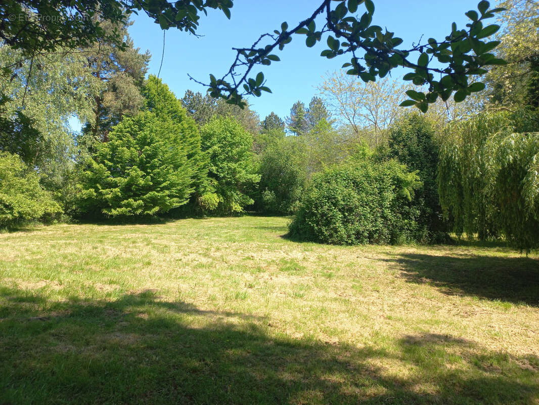 Maison à TRIE-SUR-BAISE