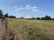 Photo 1 - Terrain à AVENAY