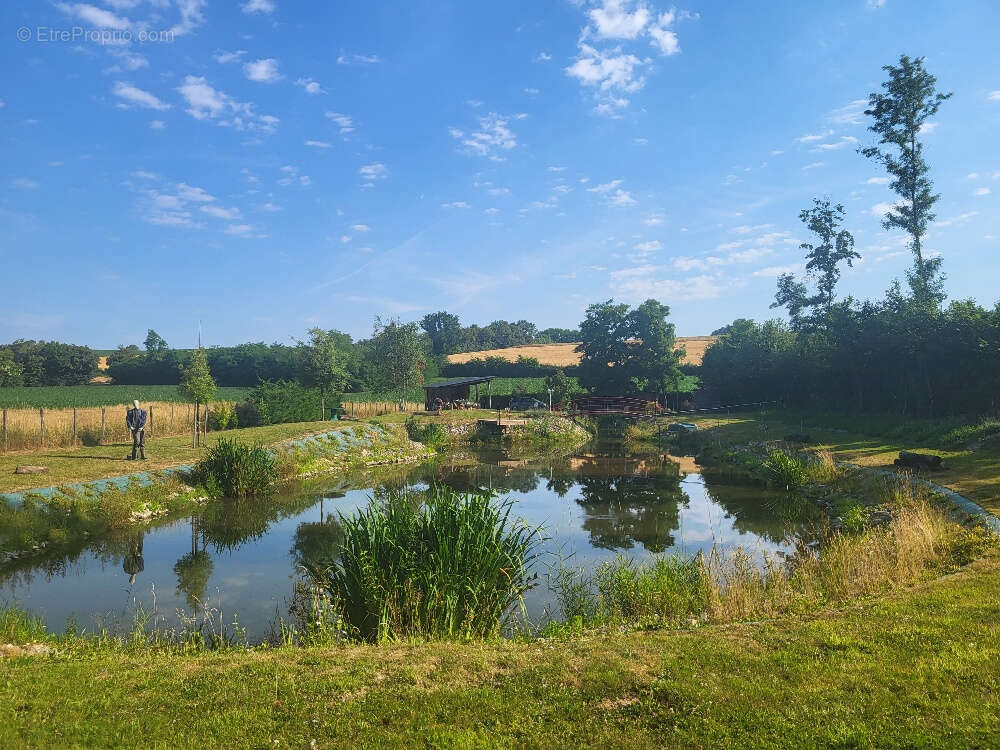 Terrain à CHATILLON-SUR-CHALARONNE