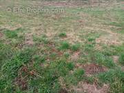 Terrain à GUEUTTEVILLE-LES-GRES