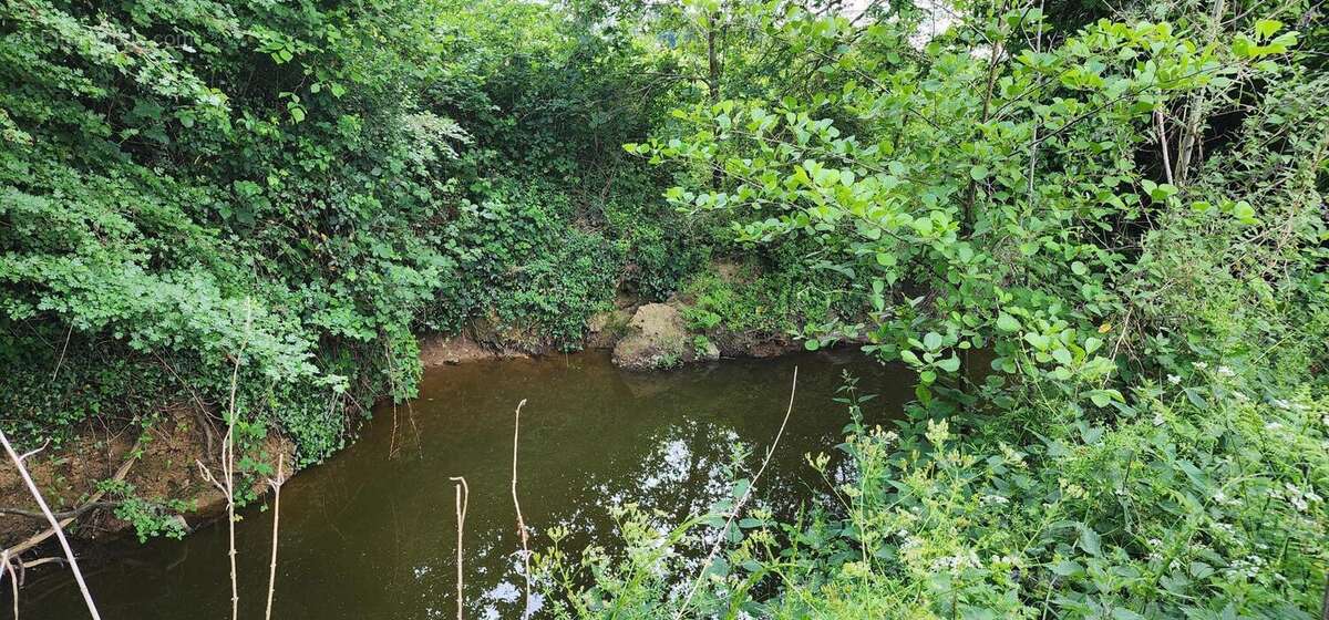 Photo 5 - Maison à MOISDON-LA-RIVIERE