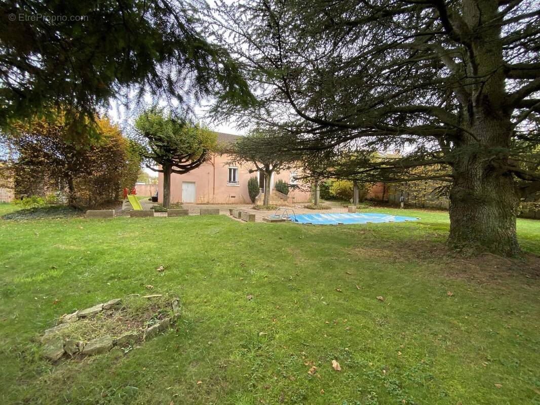 Photo 1 - Maison à JASSANS-RIOTTIER