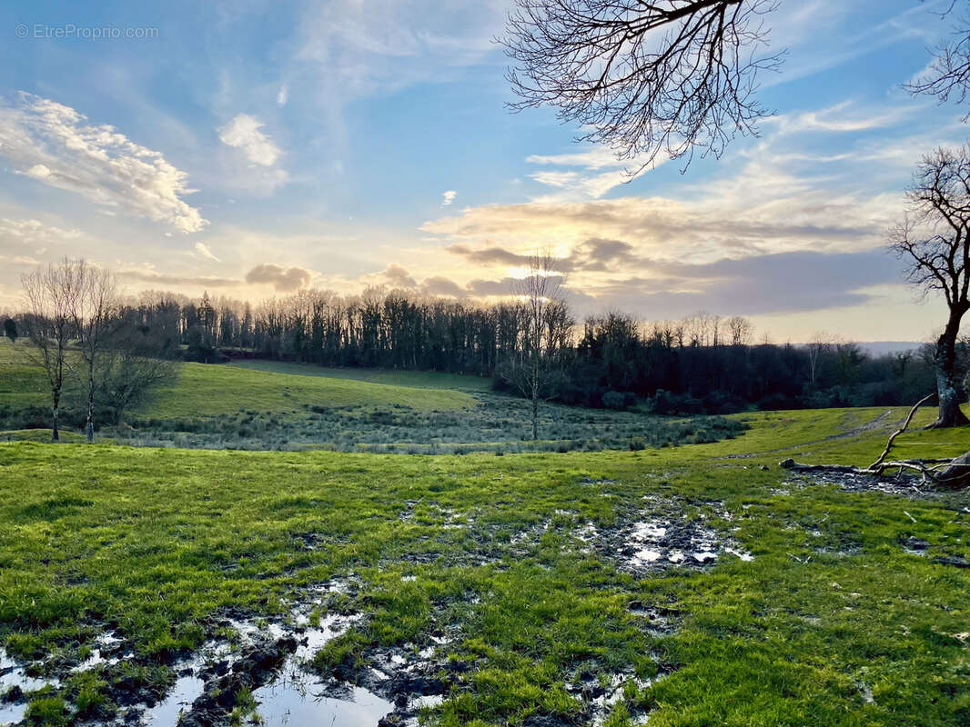 Maison à LESIGNAC-DURAND