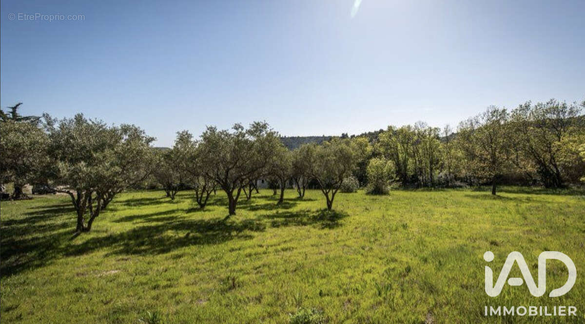 Terrain 2600 m² à Peret  - photo 2