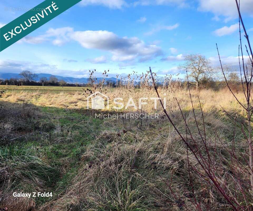 Photo 2 - Terrain à FORTSCHWIHR