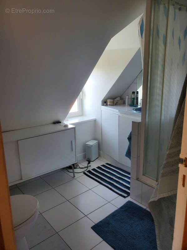 Aux portes de Decize, somptueuse maison du 19ème - photo 22