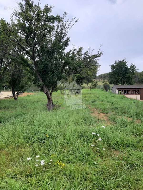 Terrain à VANDIERES