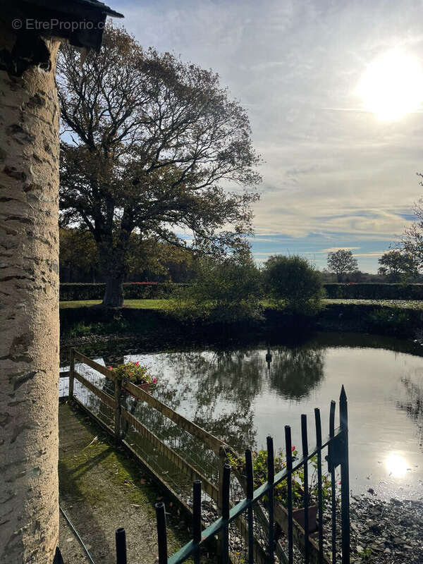 Maison à CHATEAU-GONTIER