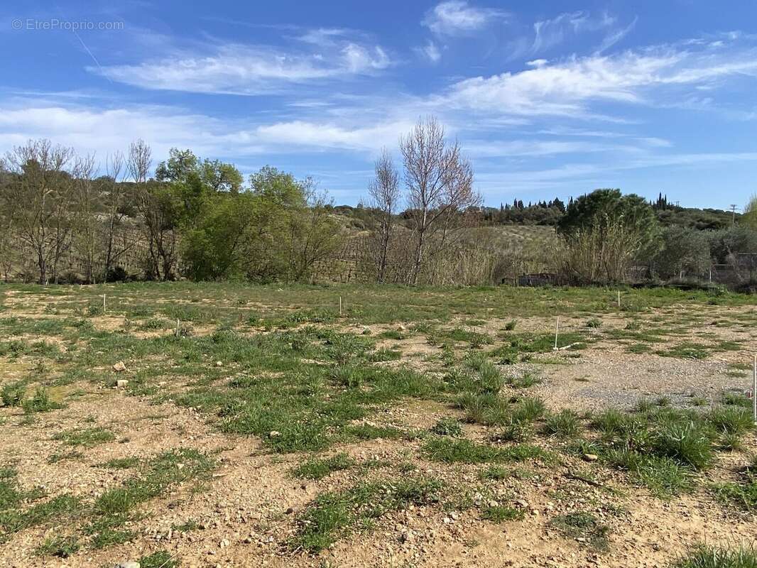 Terrain à CESSENON-SUR-ORB
