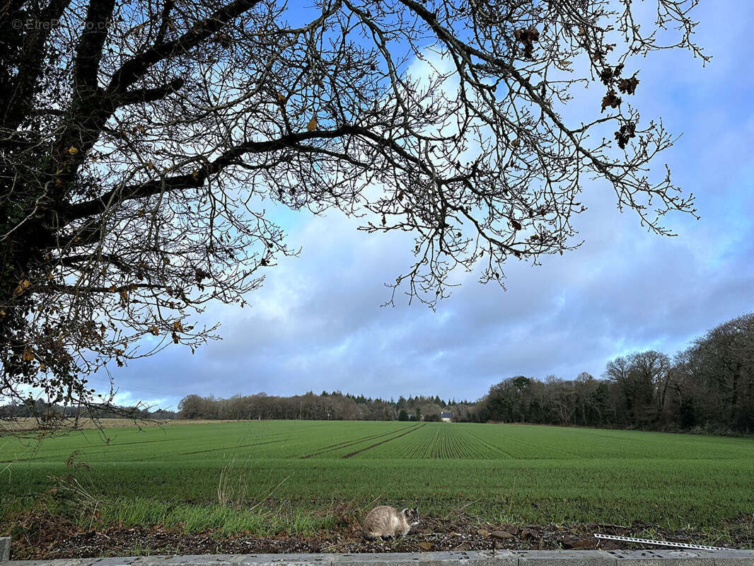 Maison à INZINZAC-LOCHRIST