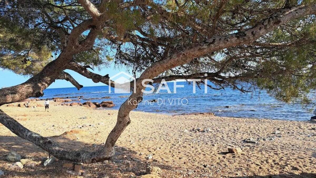 Photo 1 - Appartement à SAINT-RAPHAEL