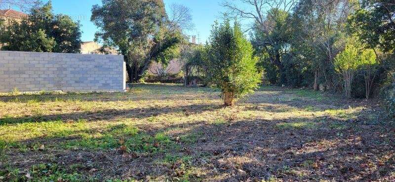 Terrain à SAINT-GEORGES-D&#039;ORQUES