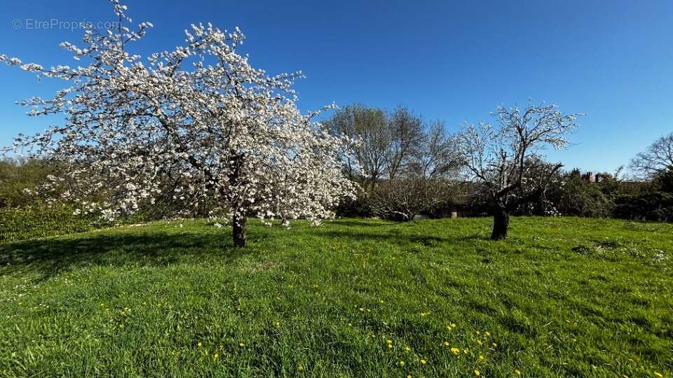 Terrain à CAMBLANES-ET-MEYNAC