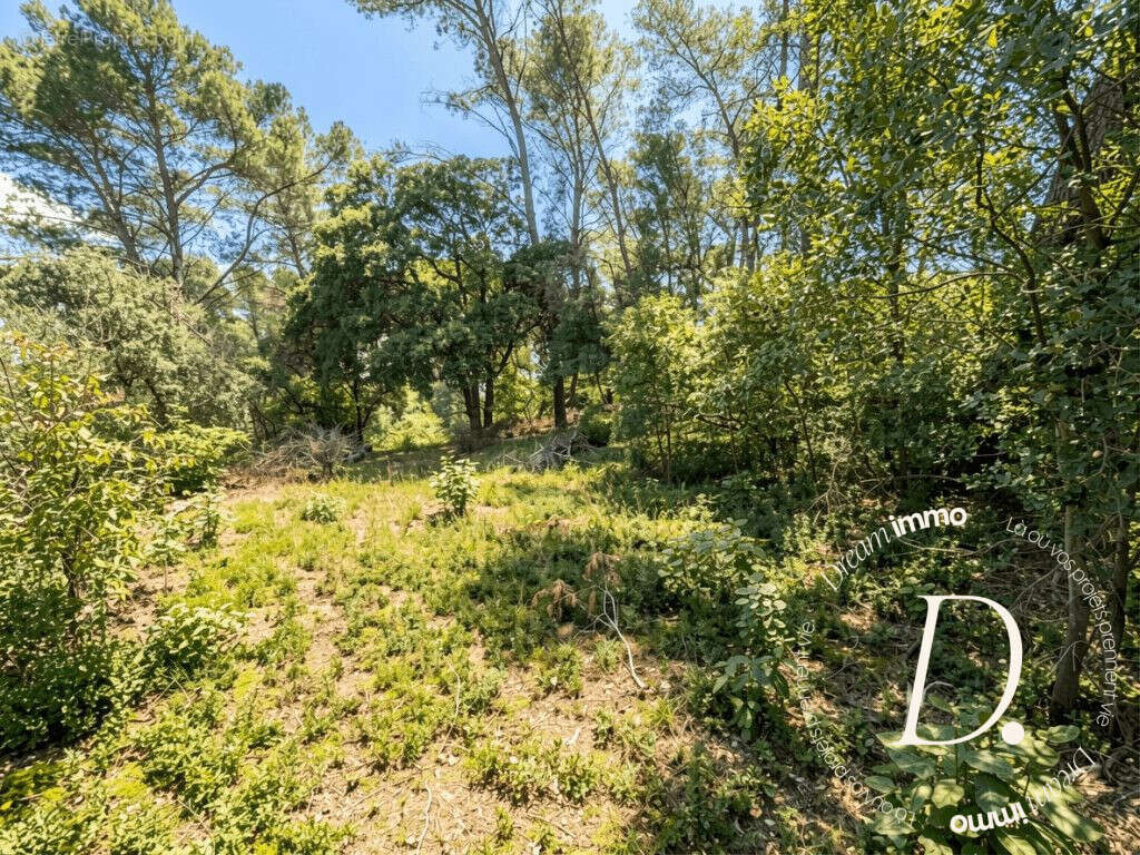 Terrain à SAINT-GILLES