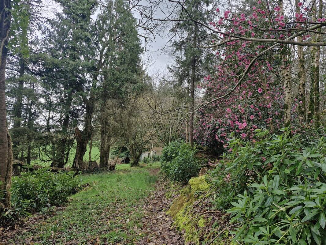 Terrain à TORIGNI-SUR-VIRE