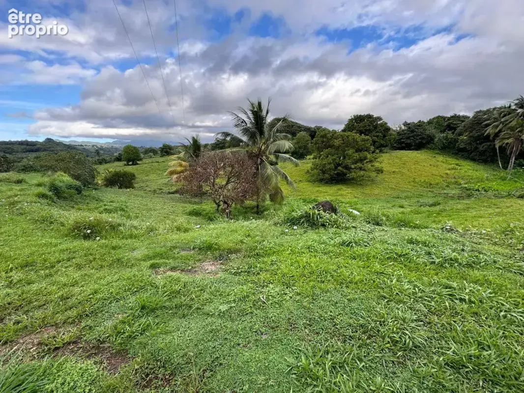 Terrain à bâtir 4026 m2 Quartier Plaisance - Le Lamentin - photo 3
