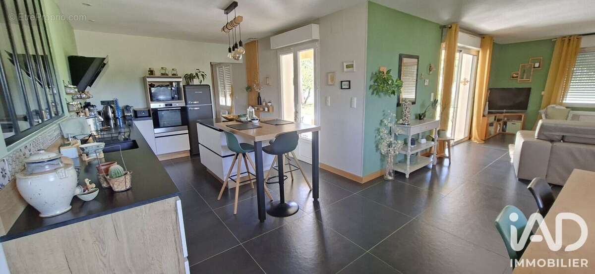 Maison 213 m² à Pomas  - photo 7