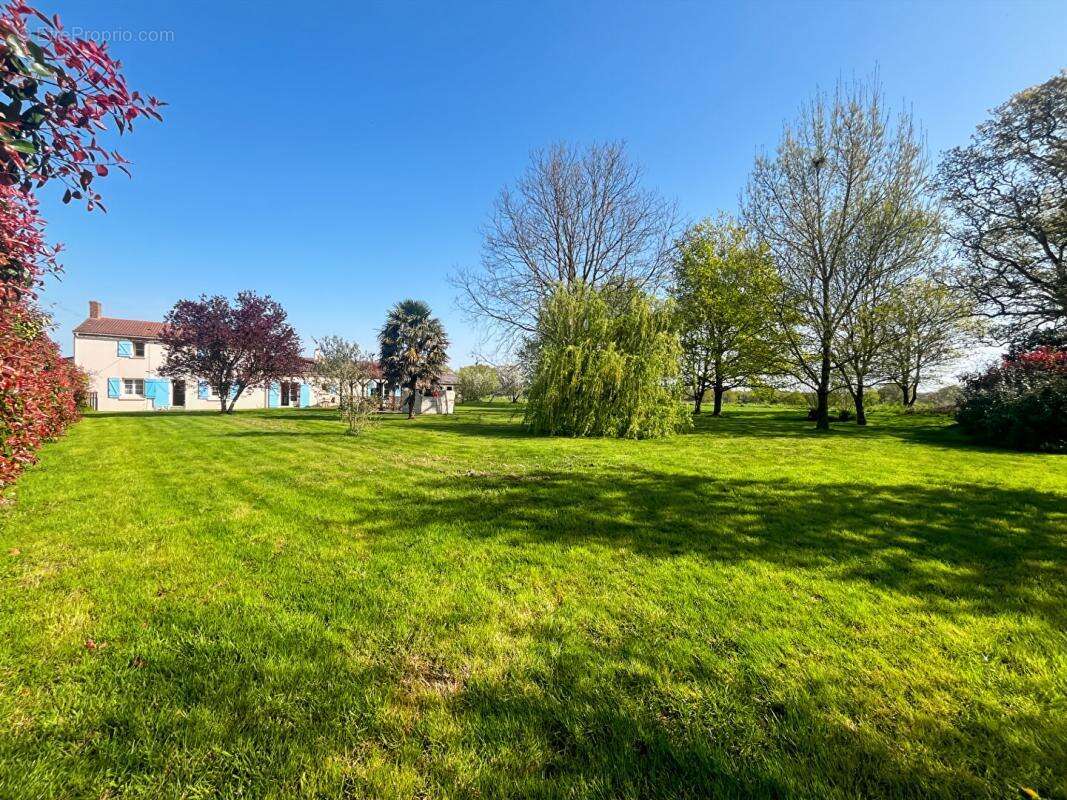 Maison à SAINT-PERE-EN-RETZ