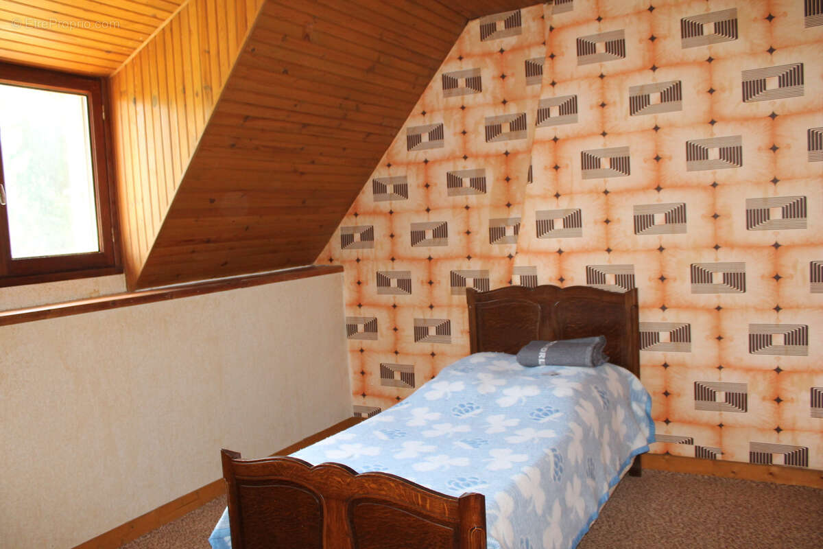 St Palais   Maison spacieuse  sur 1612 m2 dans le village. - photo 14