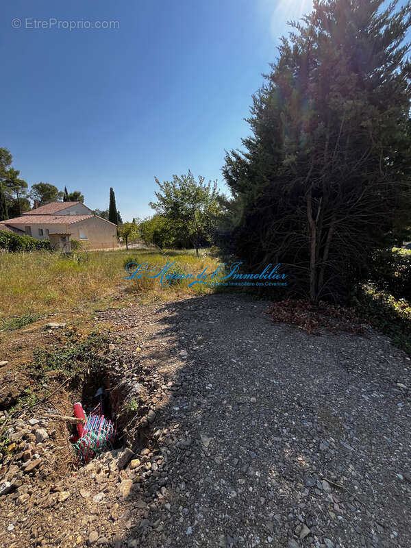 St Privat des vieux, très beau terrain de 964 m2 constructible - photo 3