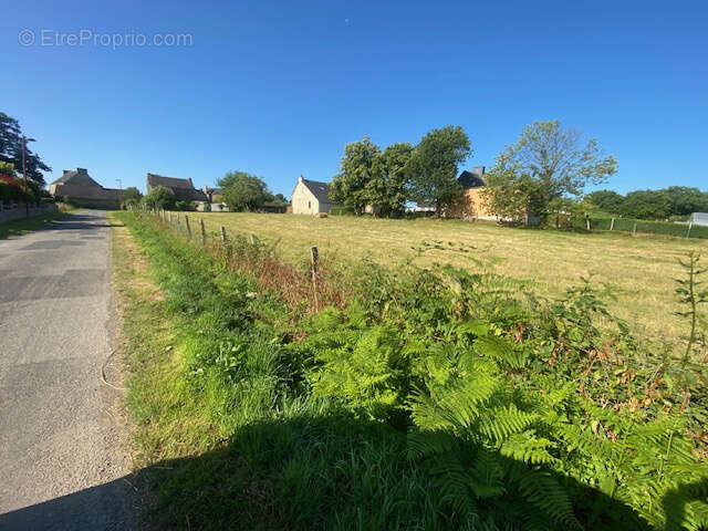 Terrain à SAINT-BARNABE