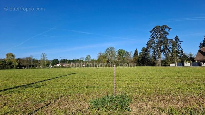Terrain à SAUVETERRE-DE-BEARN