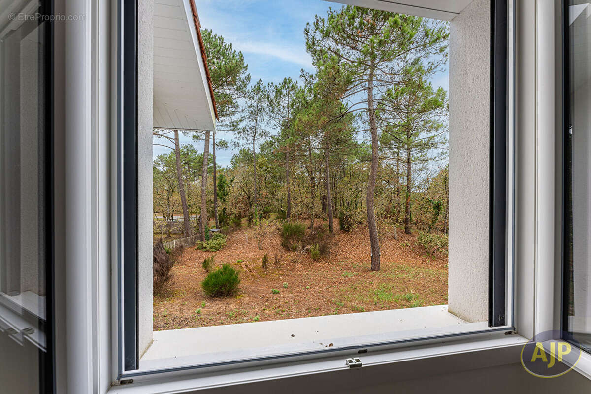 Maison à LEGE-CAP-FERRET