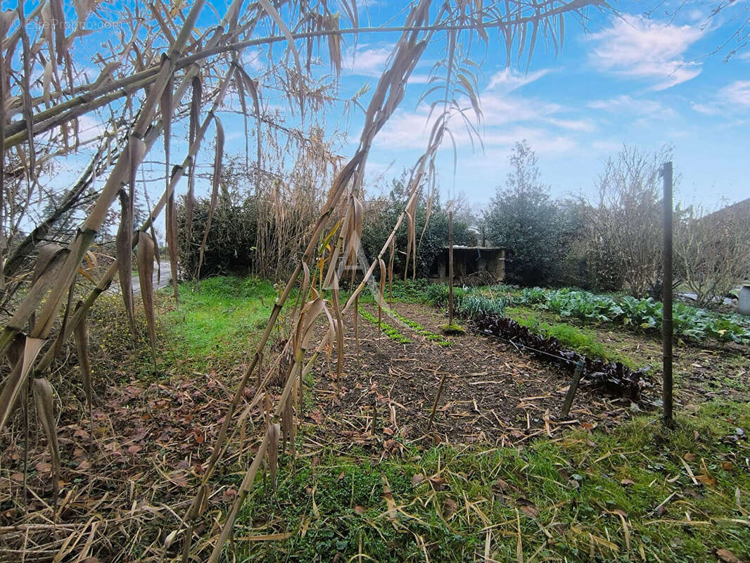 Maison à LA JAILLE-YVON