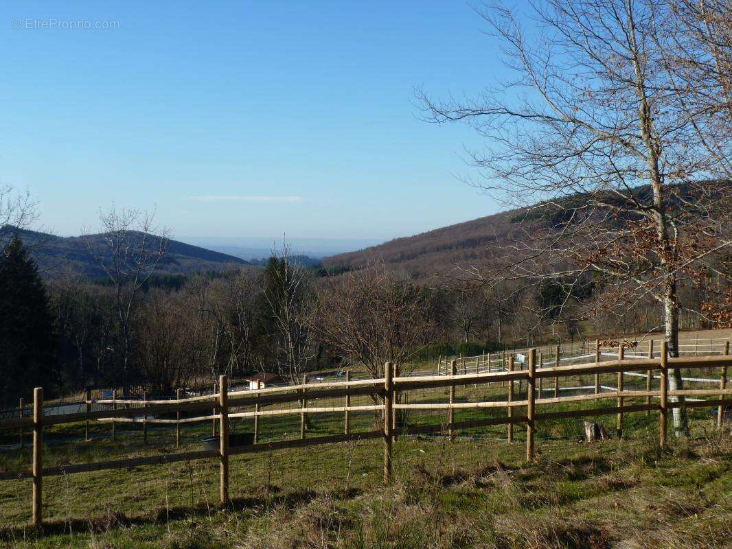 Appartement à SAINT-NICOLAS-DES-BIEFS