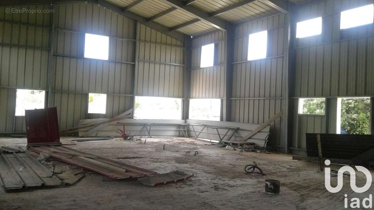 Photo 5 - Appartement à ANSE-BERTRAND