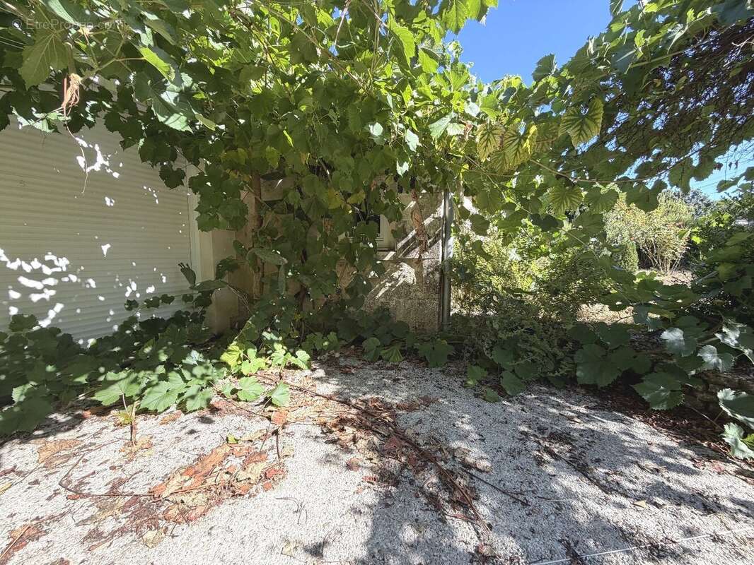 Maison en pierres - cravans - photo 4