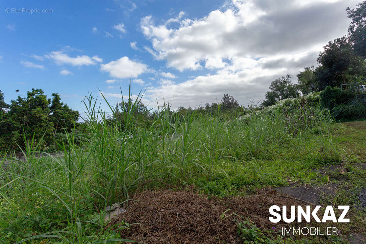 Terrain à LE TAMPON