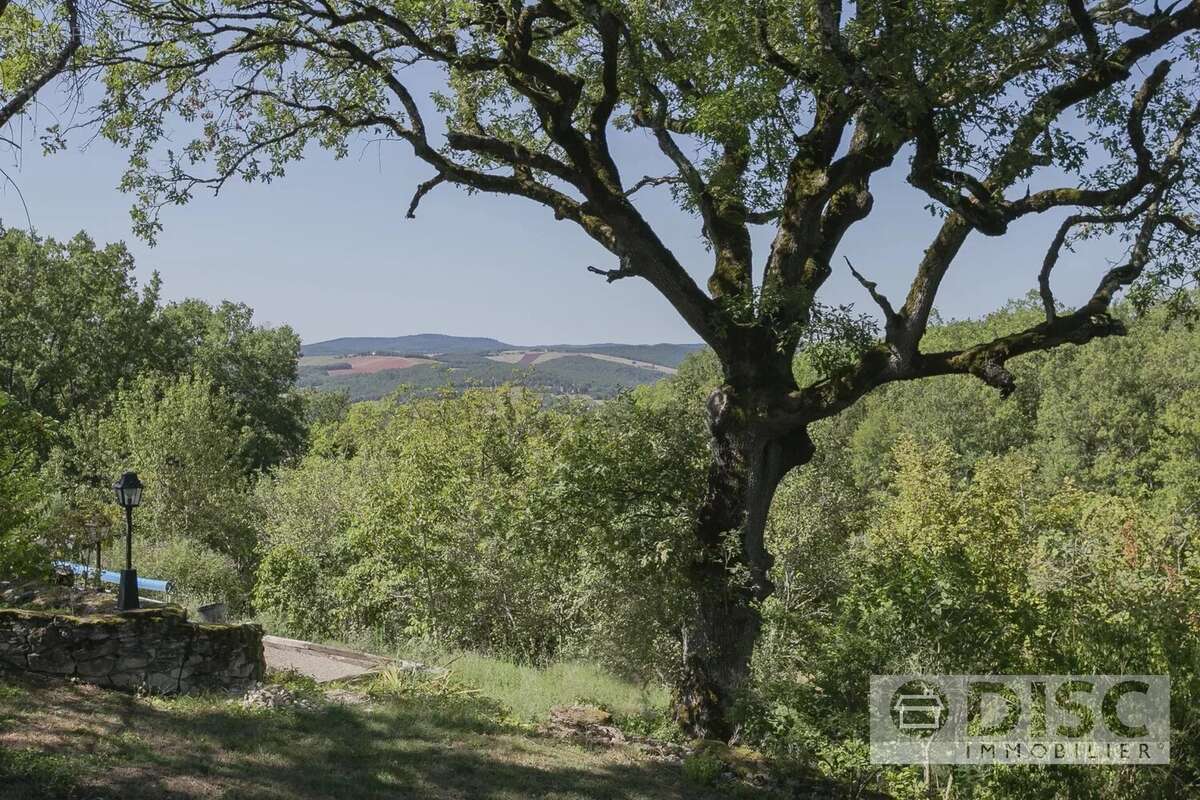 Maison à CASTELNAU-DE-MONTMIRAL