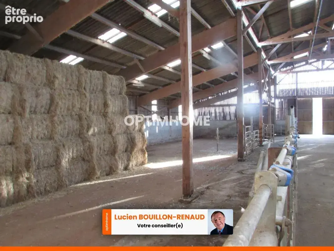 Propriete agricole de 50 hect + 30 HECT à louer ou acheter - photo 14