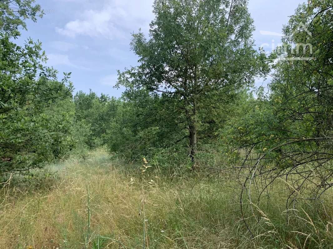 À vendre terrain de 44 000 m² en bordure de rivière - photo 2
