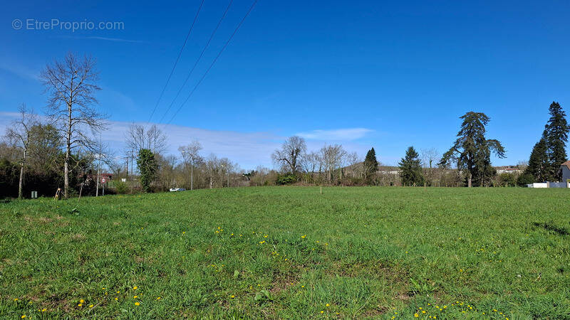 Terrain à SAUVETERRE-DE-BEARN