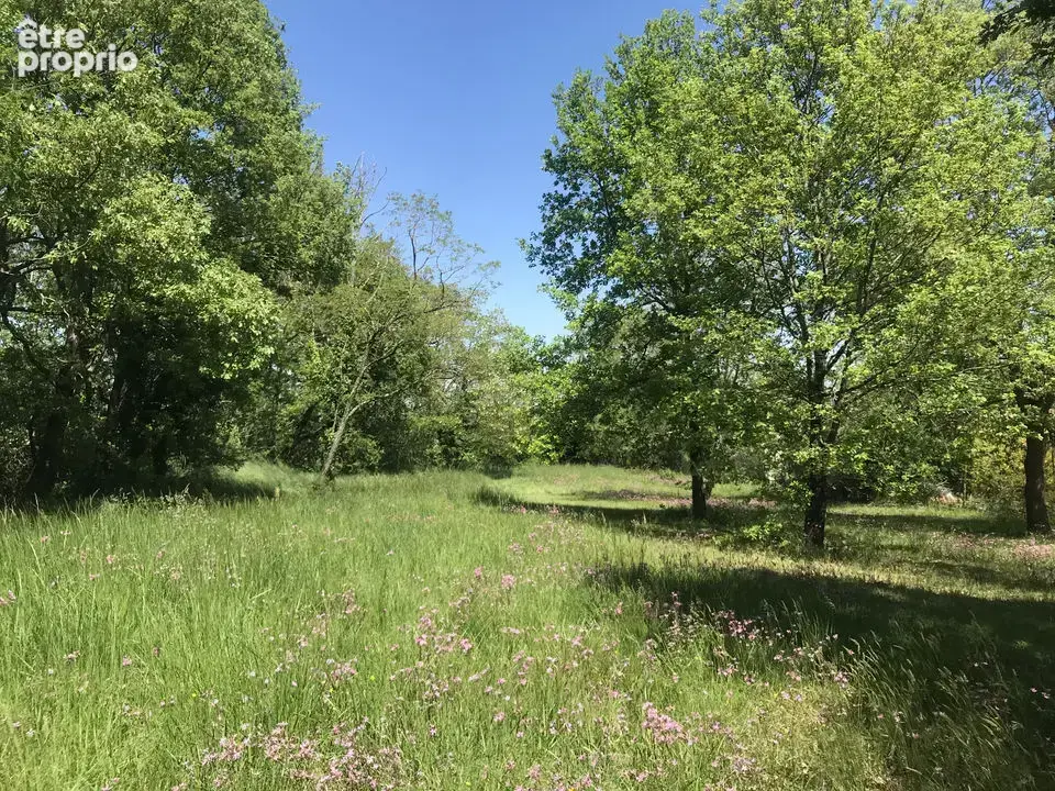 Photo Terrain à Mauressac au prix de 120 000€