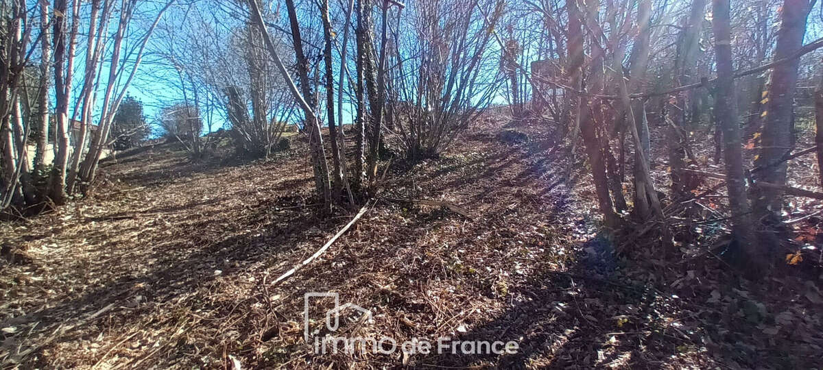Vallée du Lot-Terrain Flagnac 1395 m2 - photo 5