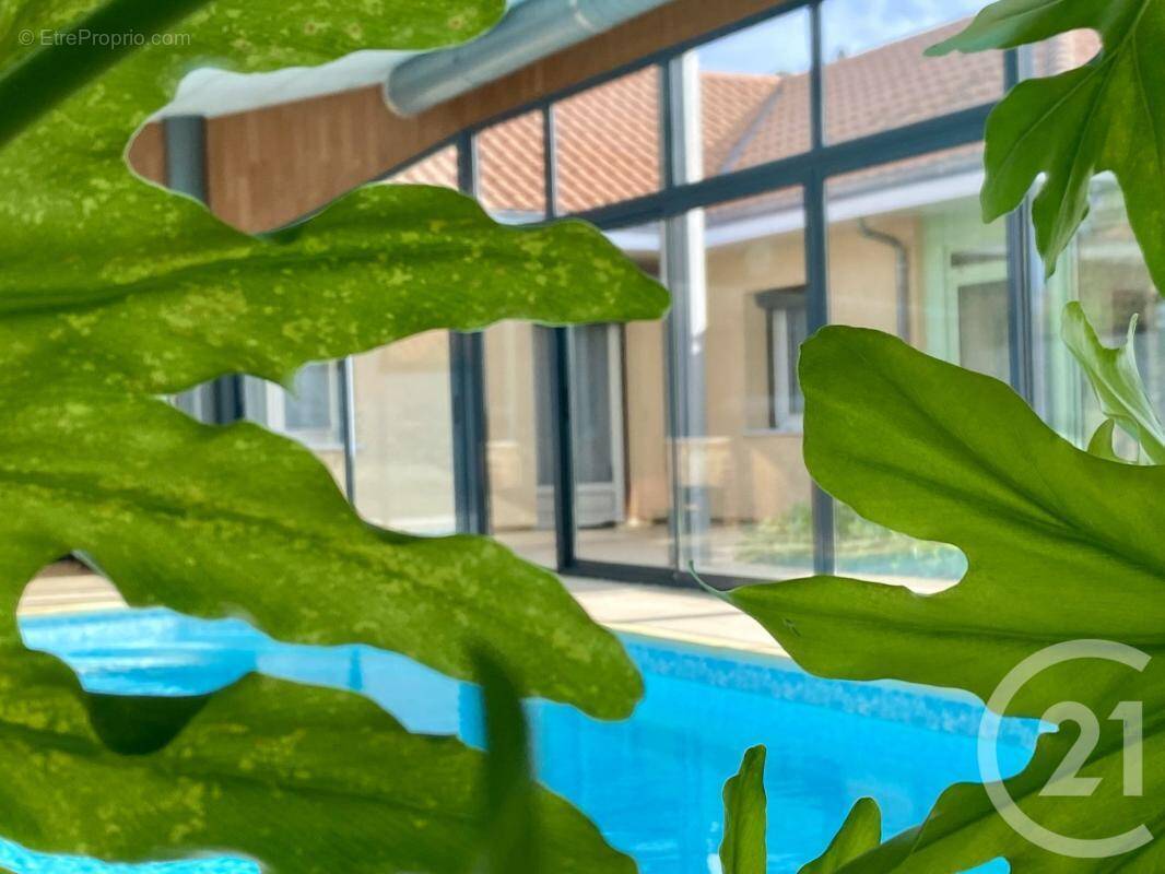 Maison à SAINT-JUNIEN