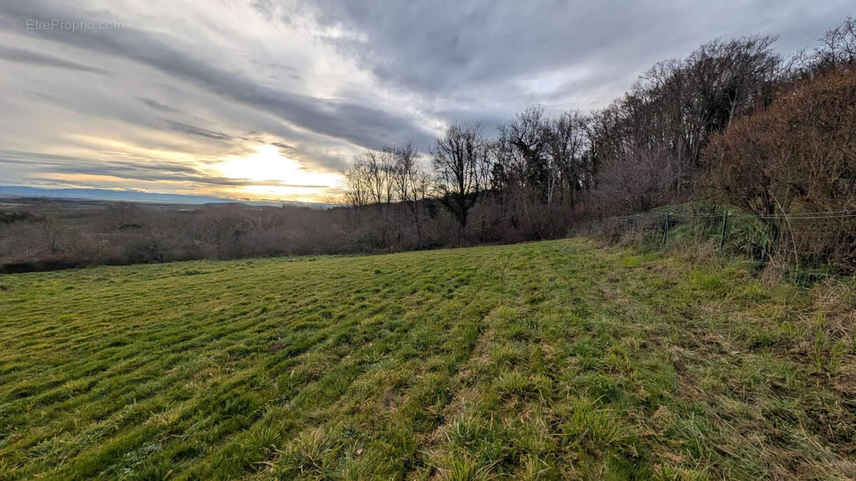 Terrain à MONTCEL