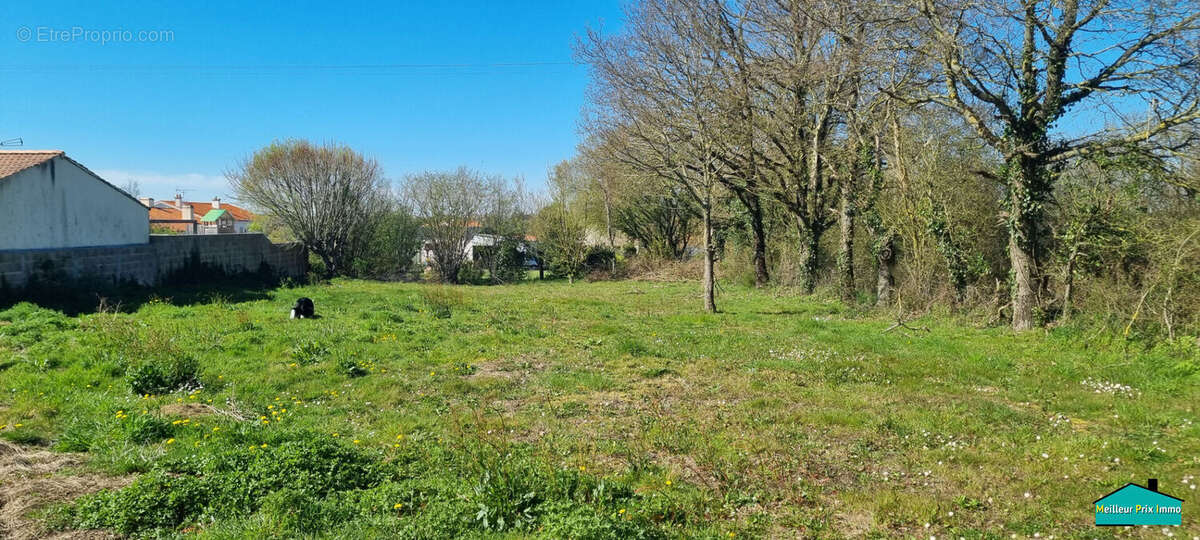 Terrain à SAINT-ETIENNE-DE-MER-MORTE