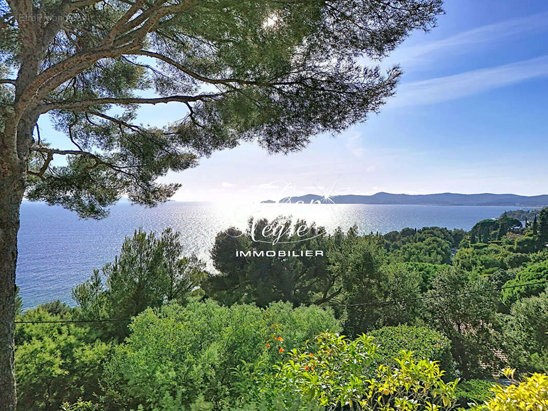 Maison à LE LAVANDOU