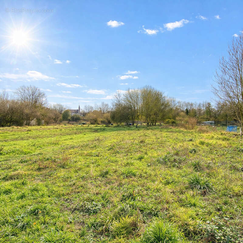 Vous apprécierez la façade de 49 mètres - Terrain à CHEVRESIS-MONCEAU