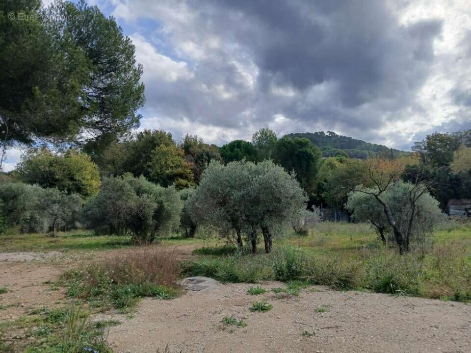 Terrain à VENTABREN