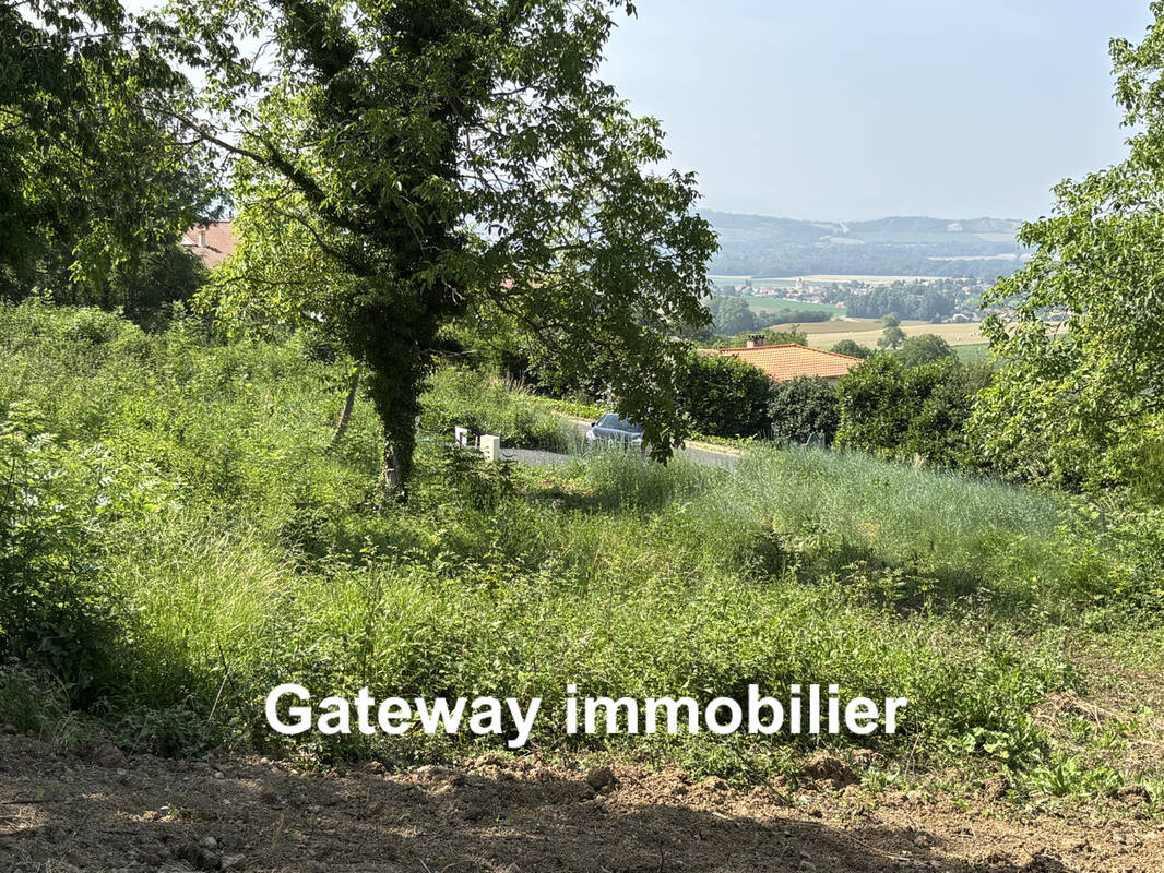 Terrain à SAINT-GEORGES-SUR-ALLIER