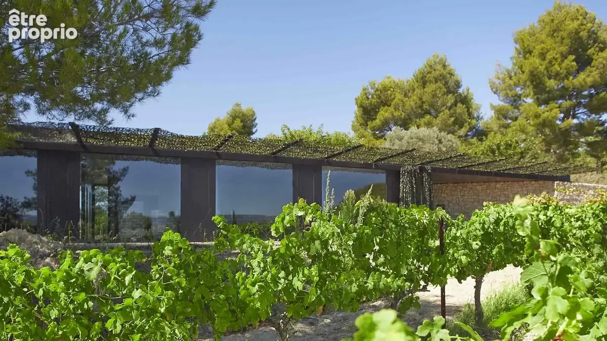 Ventoux   Domaine viticole de renom sur 18 ha - intimiste et vue dominante - photo 22