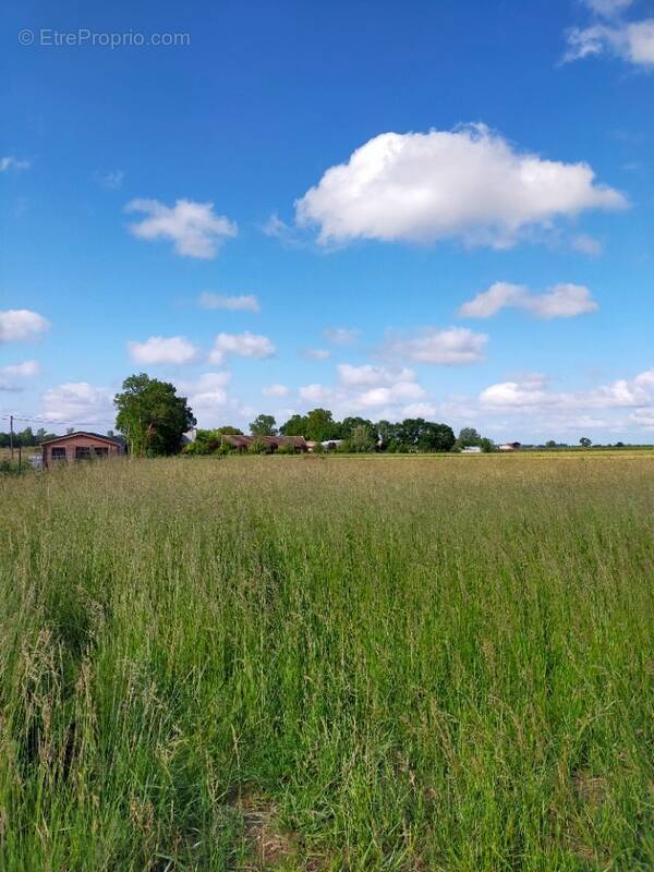 Terrain à MERIGNAC