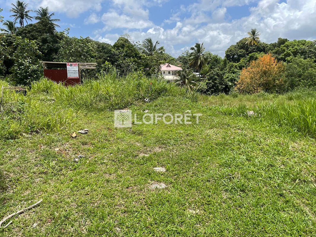 Terrain à LE LAMENTIN
