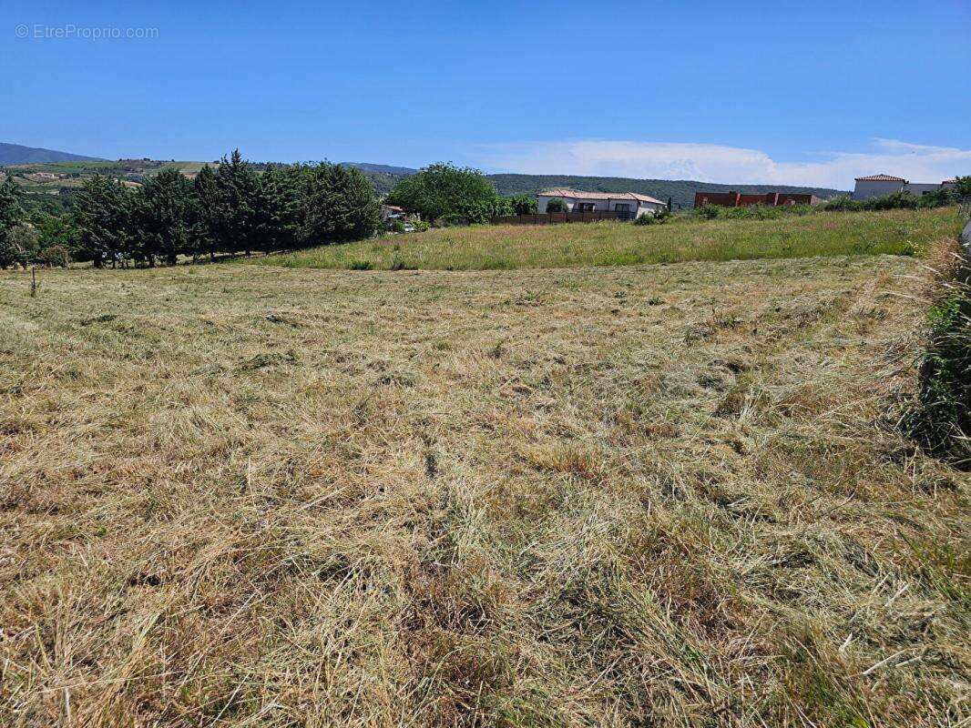 Terrain constructible de 5 201 m² avec vue dégagée , Projet de division en 4 lots - photo 2