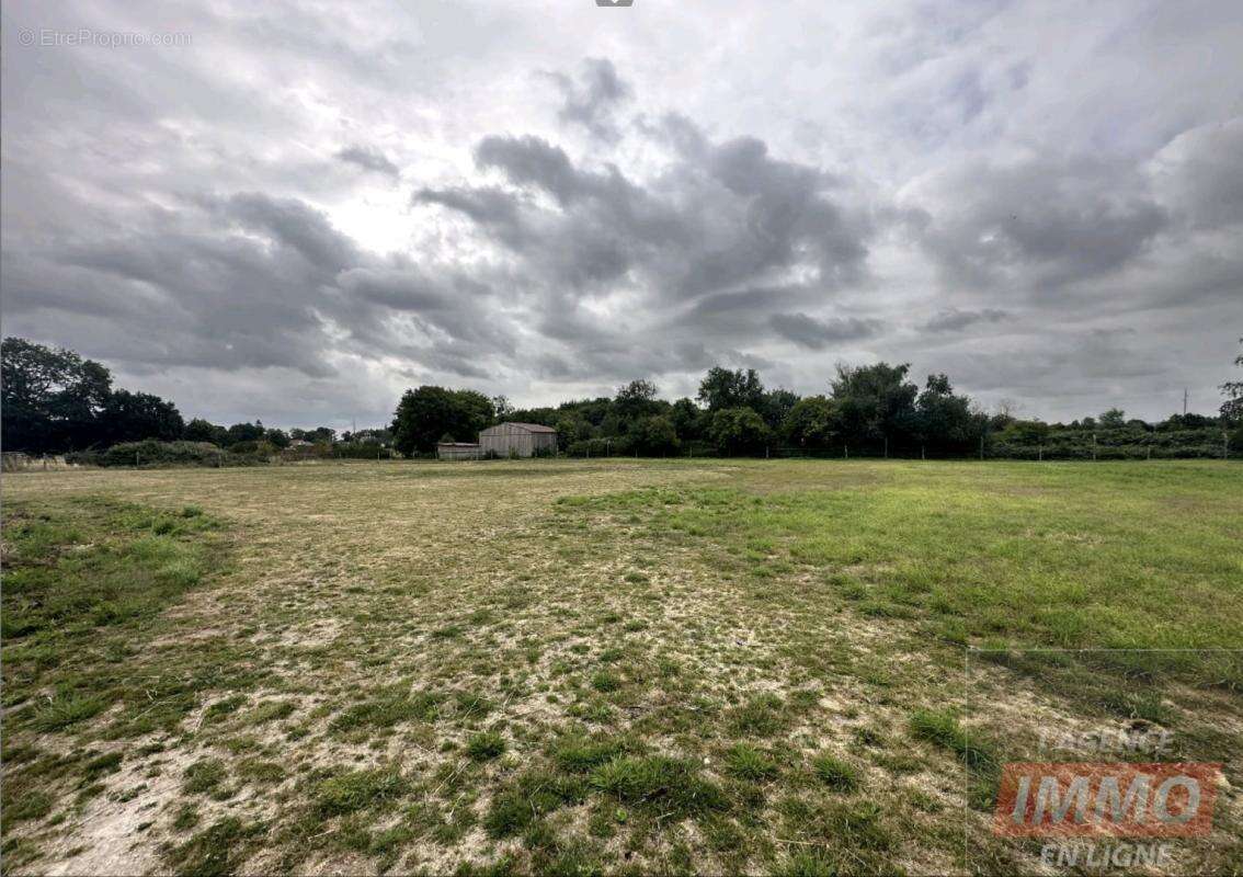 Haras / Equestre - photo 16